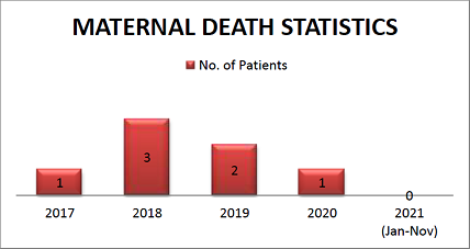 Image of Maternal Death Statistics